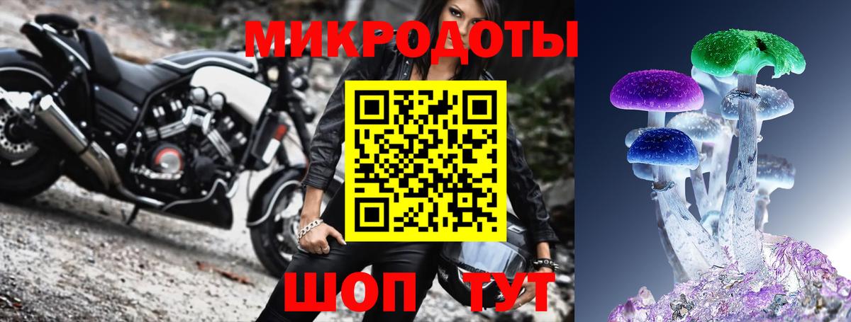 Псилоцибиновые грибы Cubensis Иваново